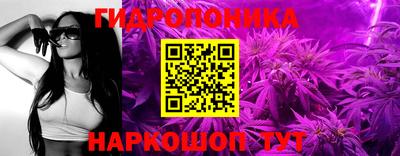 гидропоника Ивантеевка