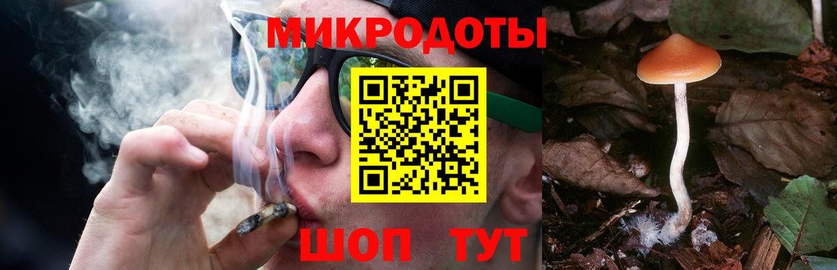 Псилоцибиновые грибы Magic Shrooms  Псилоцибиновые грибы Magic Shrooms  дарнет шоп  Вход с VPN  Лесозаводск 
